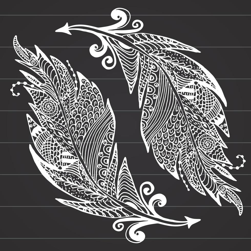 Ornamental hand drawn sketch of feathers vector illustration with ornament on chalkboard