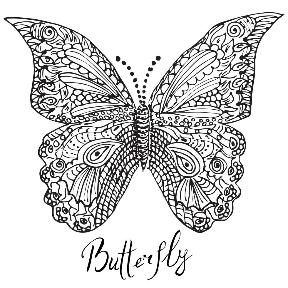 Ornamental hand drawn sketch of Butterfly vector