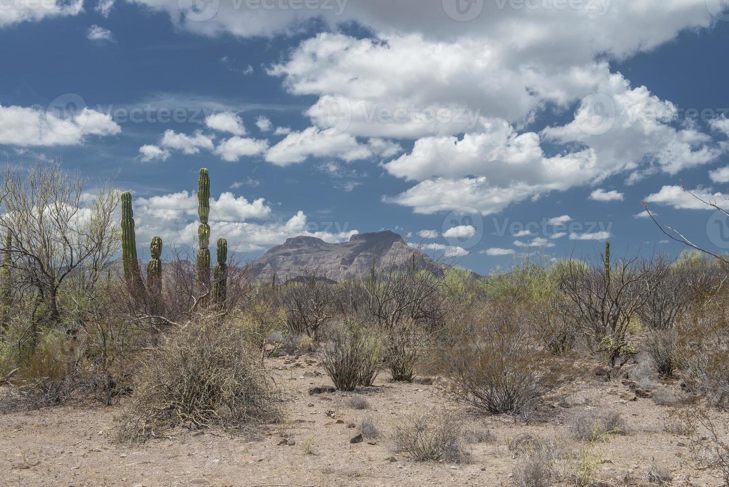 Mountains under a cloudy and blue sky in the desert of Baja California Sur Mexico photo
