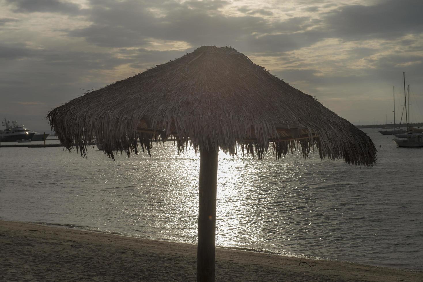 La Paz Bay, Baja California Sur, Mexico photo