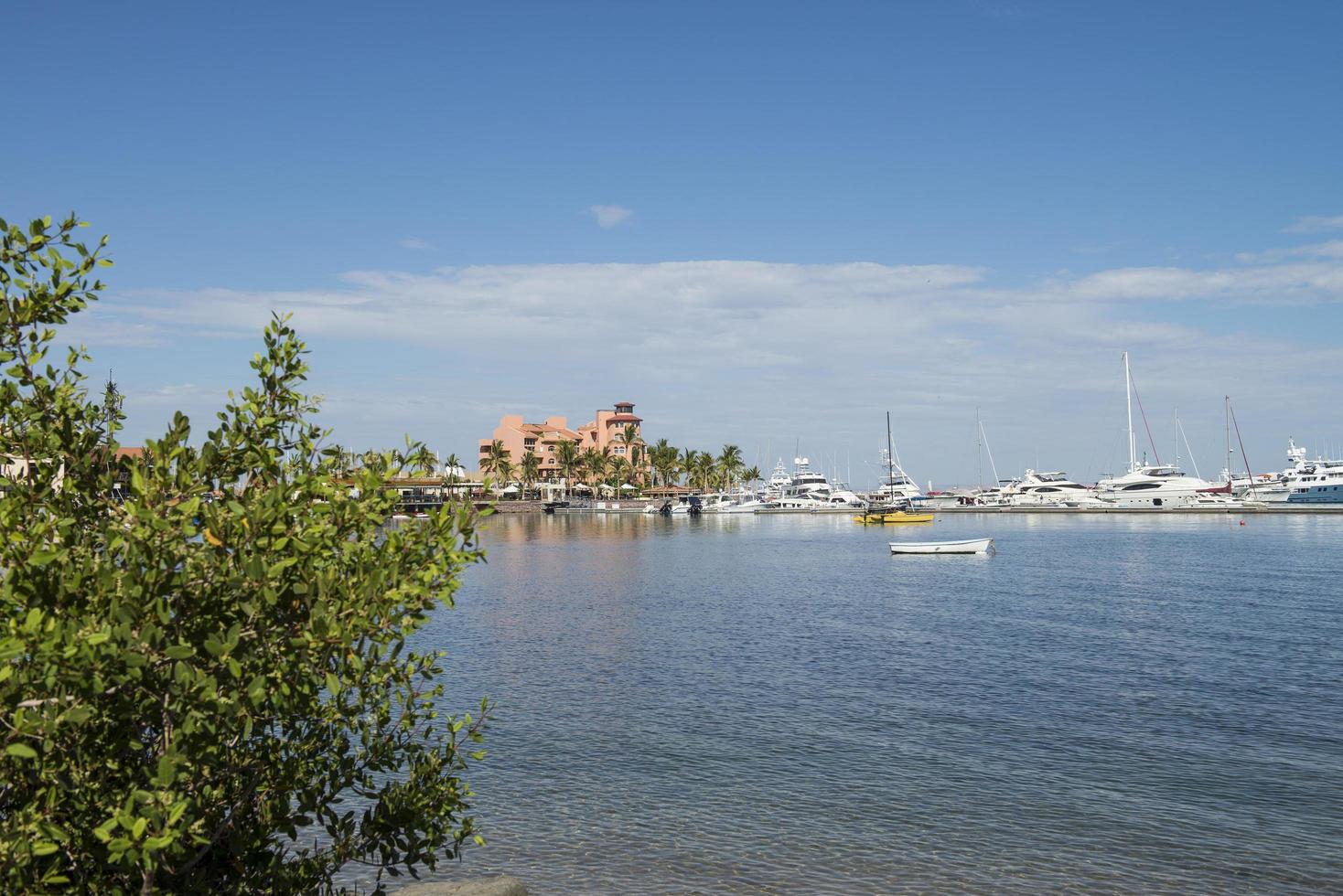 La Paz Bay, Baja California Sur, Mexico photo