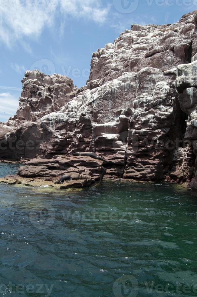 Archipielago Isla Espiritu Santo in La Paz, Baja California photo