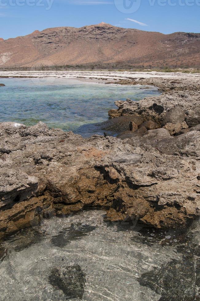 Archipielago Isla Espiritu Santo in La Paz, Baja California photo