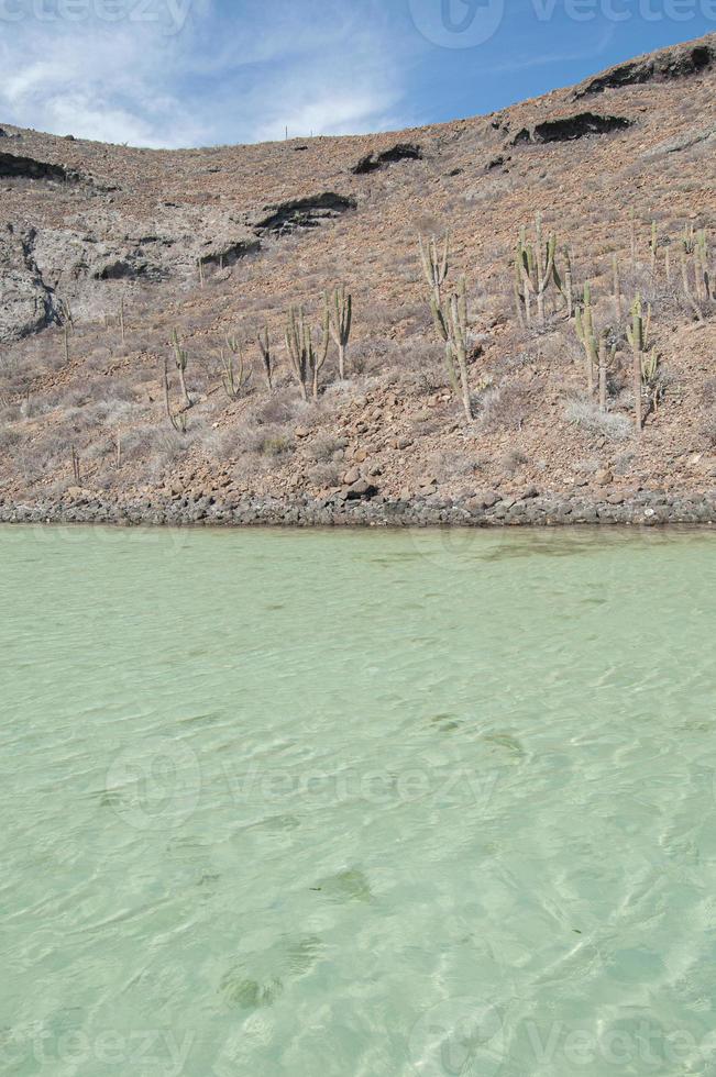 Archipielago Isla Espiritu Santo in La Paz, Baja California photo