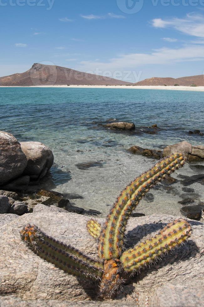 Archipielago Isla Espiritu Santo in La Paz, Baja California photo