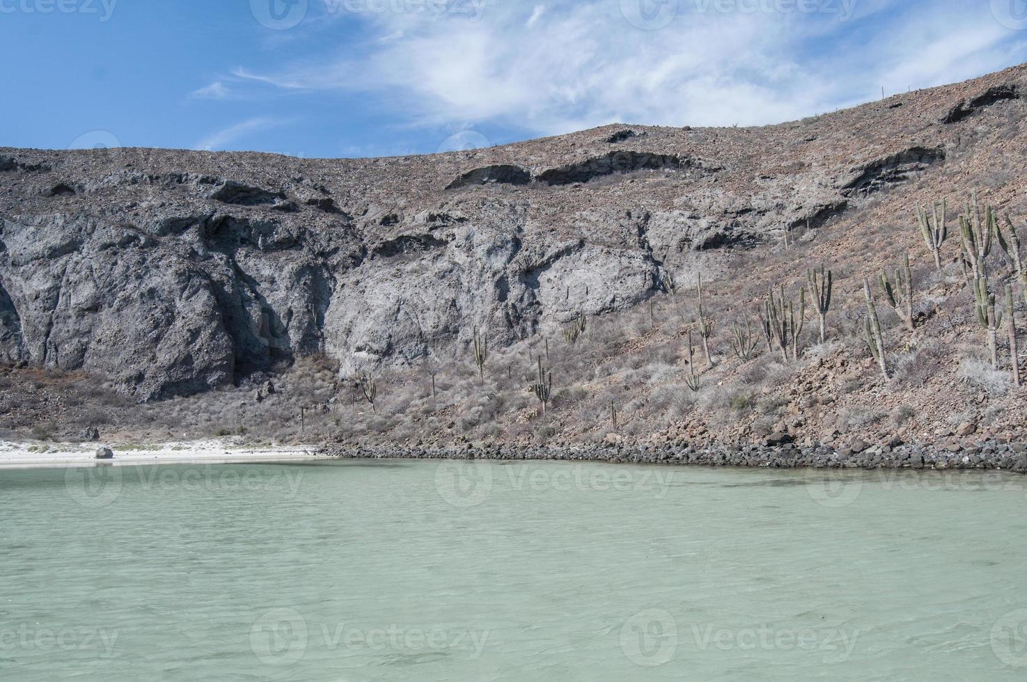 Balandra Beach in La Paz, Baja California photo