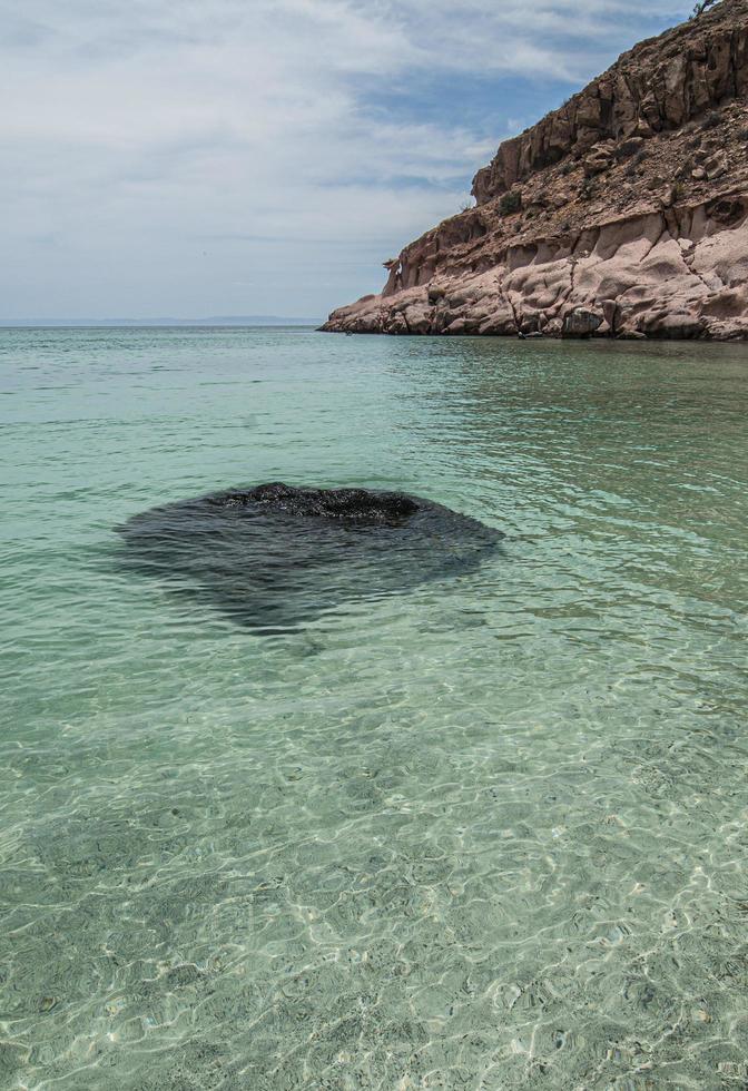 Isla Espiritu Santo, La Paz, Baja California photo