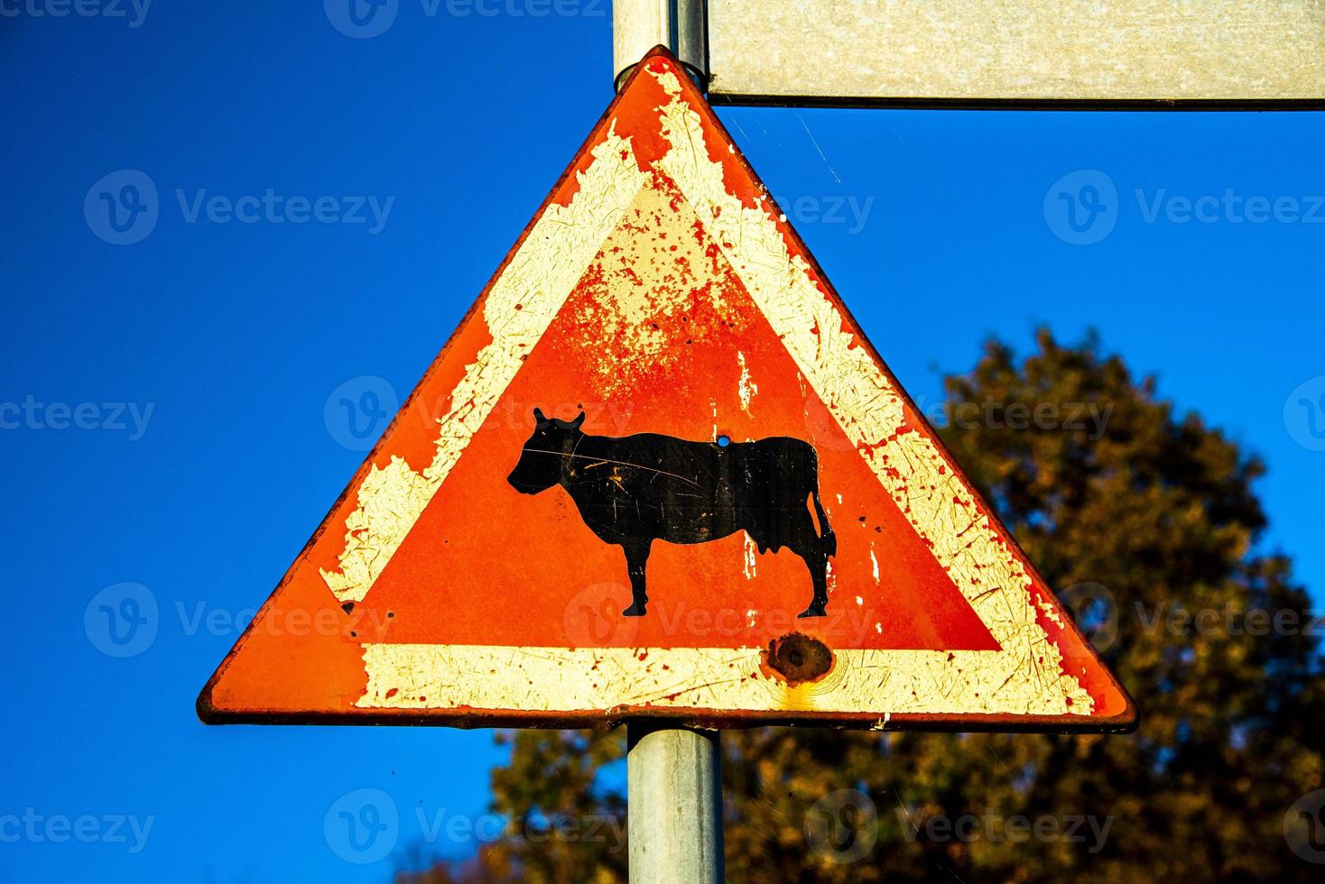 old danger sign photo