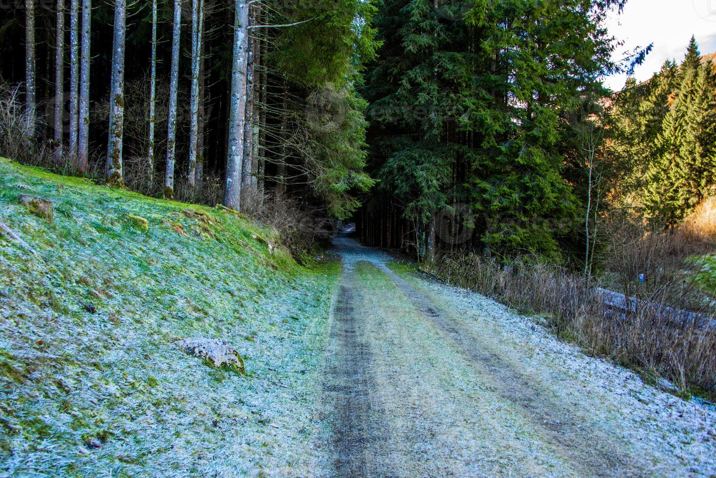 icy mountain road photo