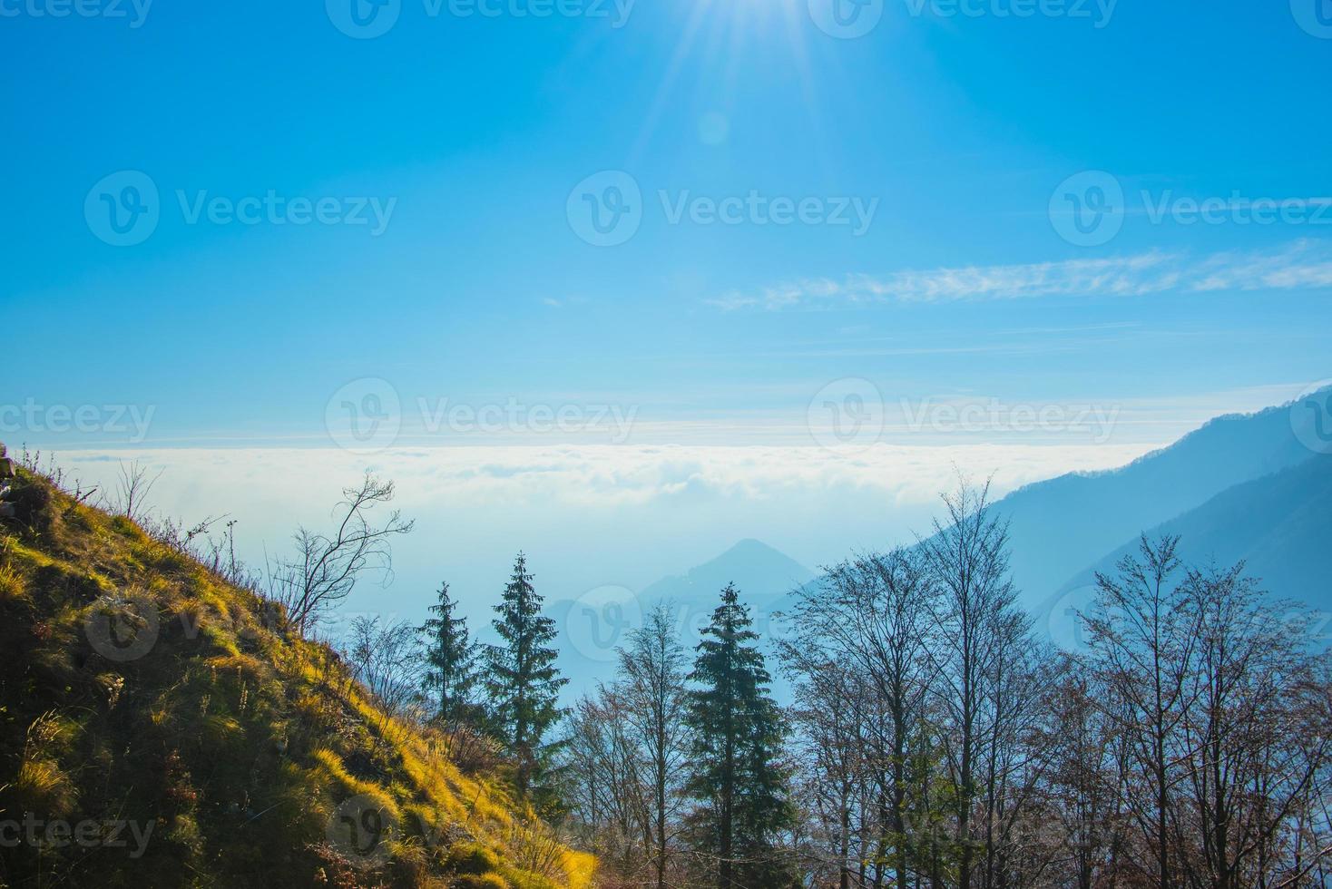 forest mountains and clouds photo