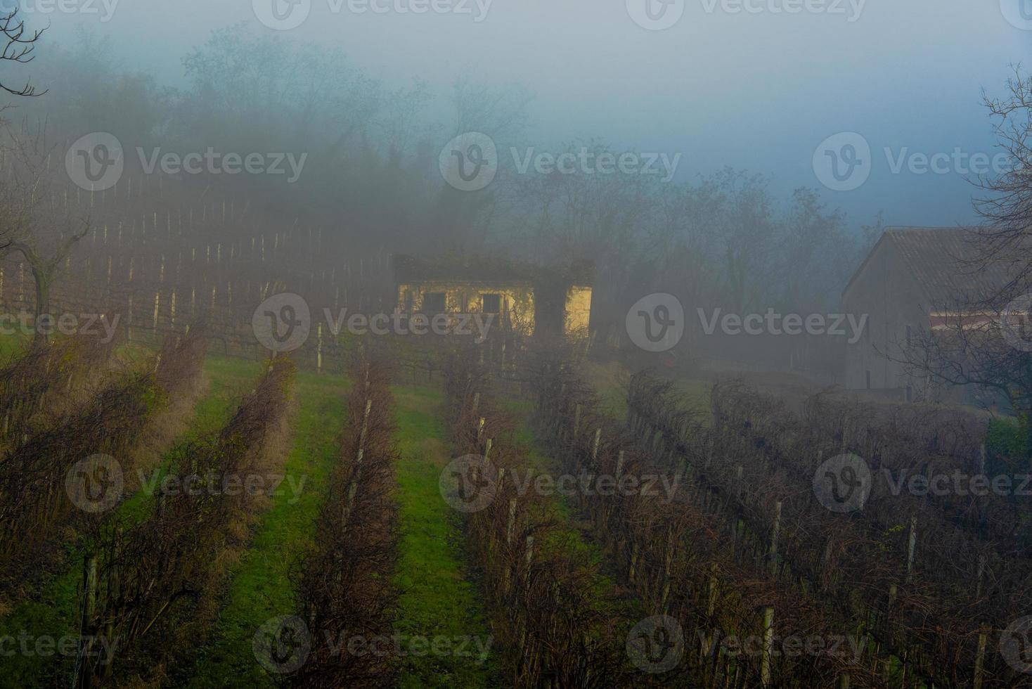 fog and ancient countryside photo