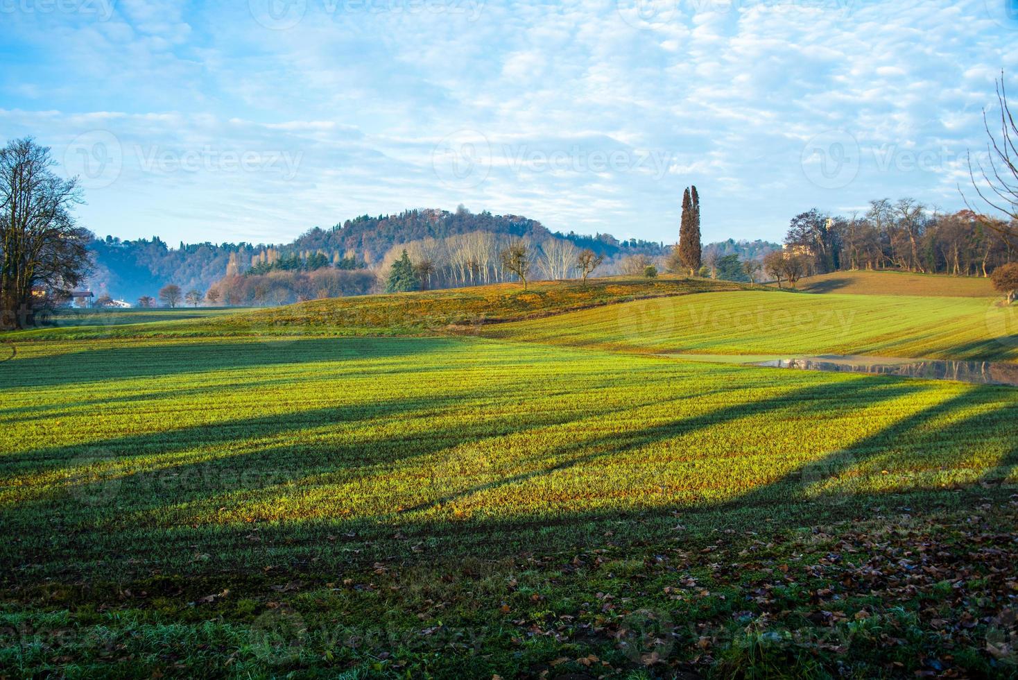 campos fuera de vicenza foto