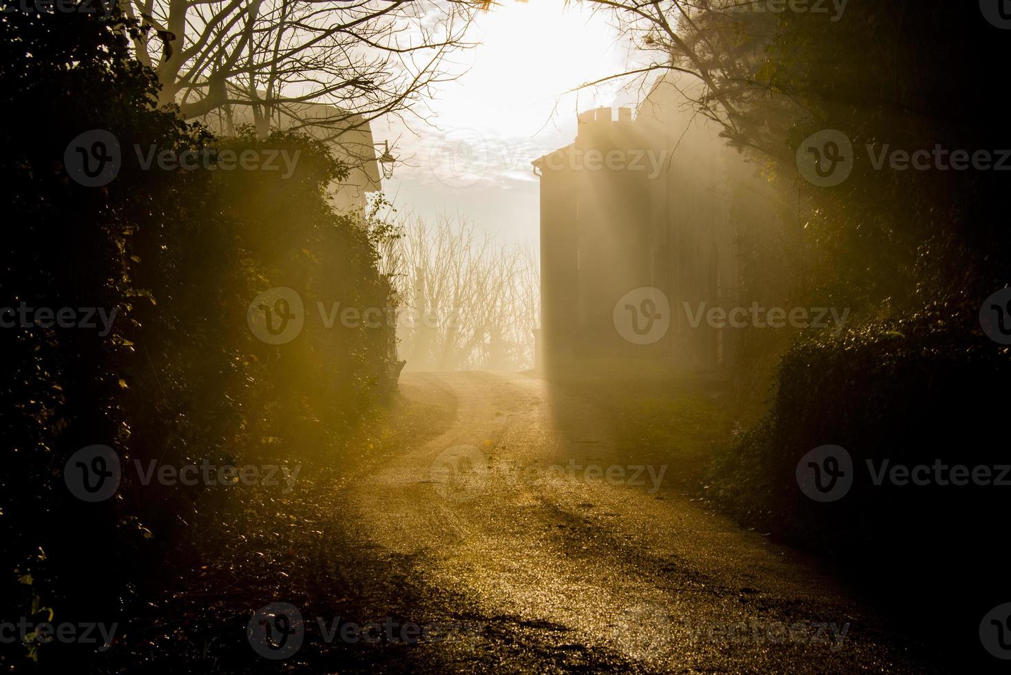 camino con neblina foto