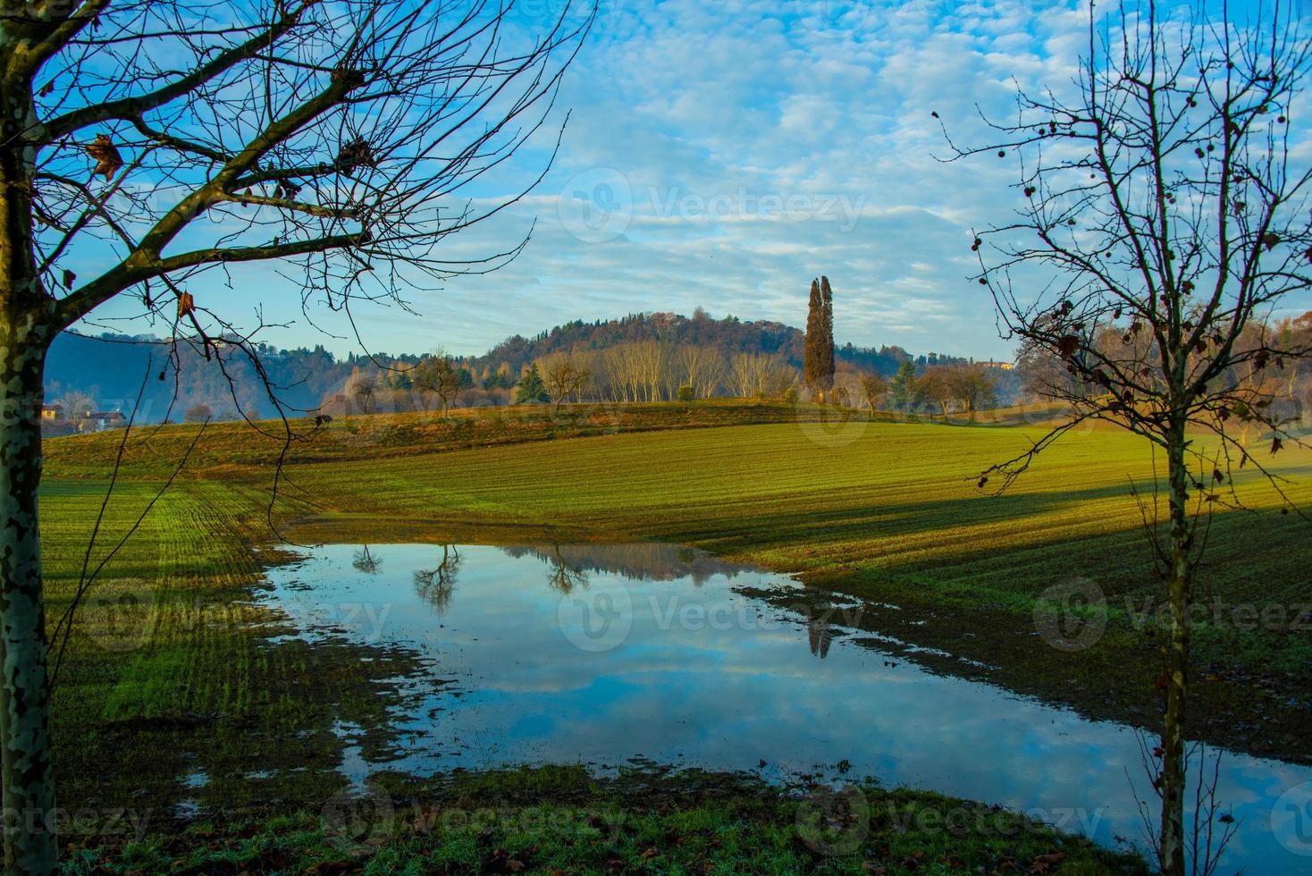 fields outside Vicenza three photo