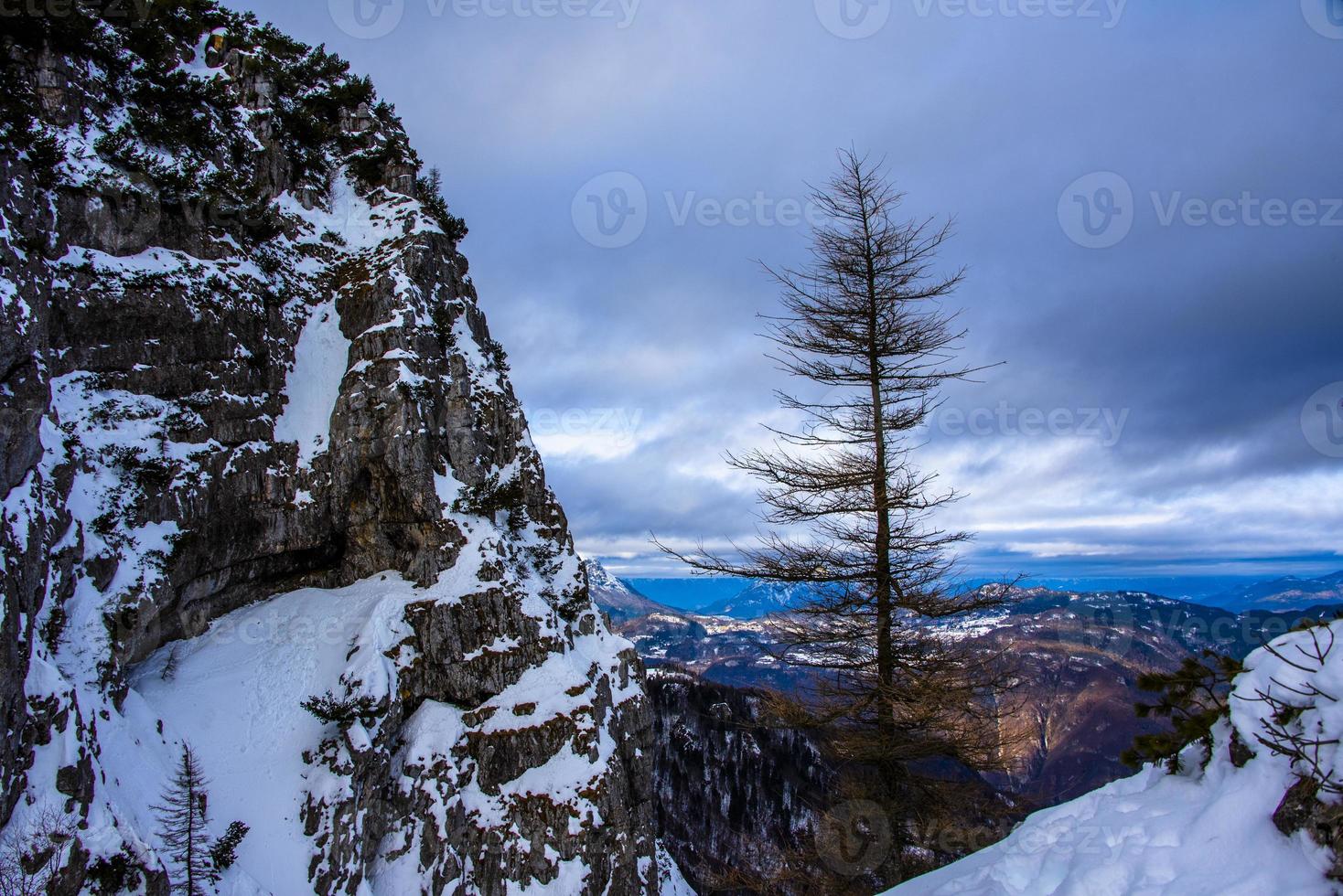 snow and pine rocks photo