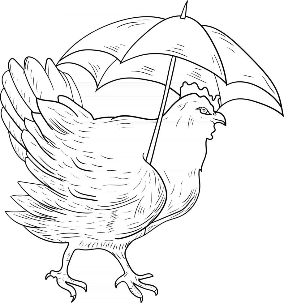 Esquema de gallina con paraguas perfecto para colorear página vector
