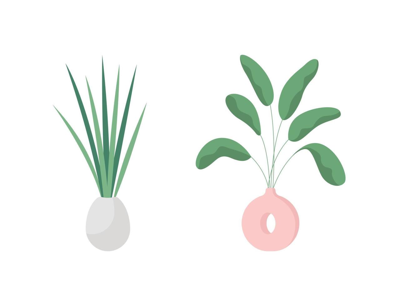 Indoor plant flat color vector object set