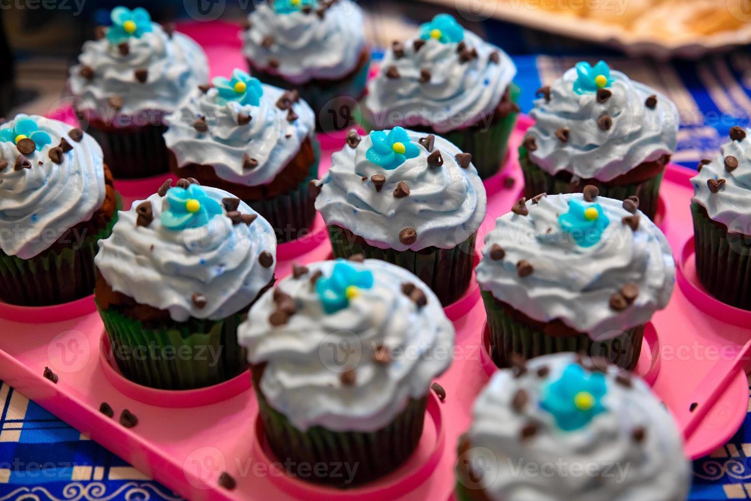 Colorful chocolate cupcakes photo