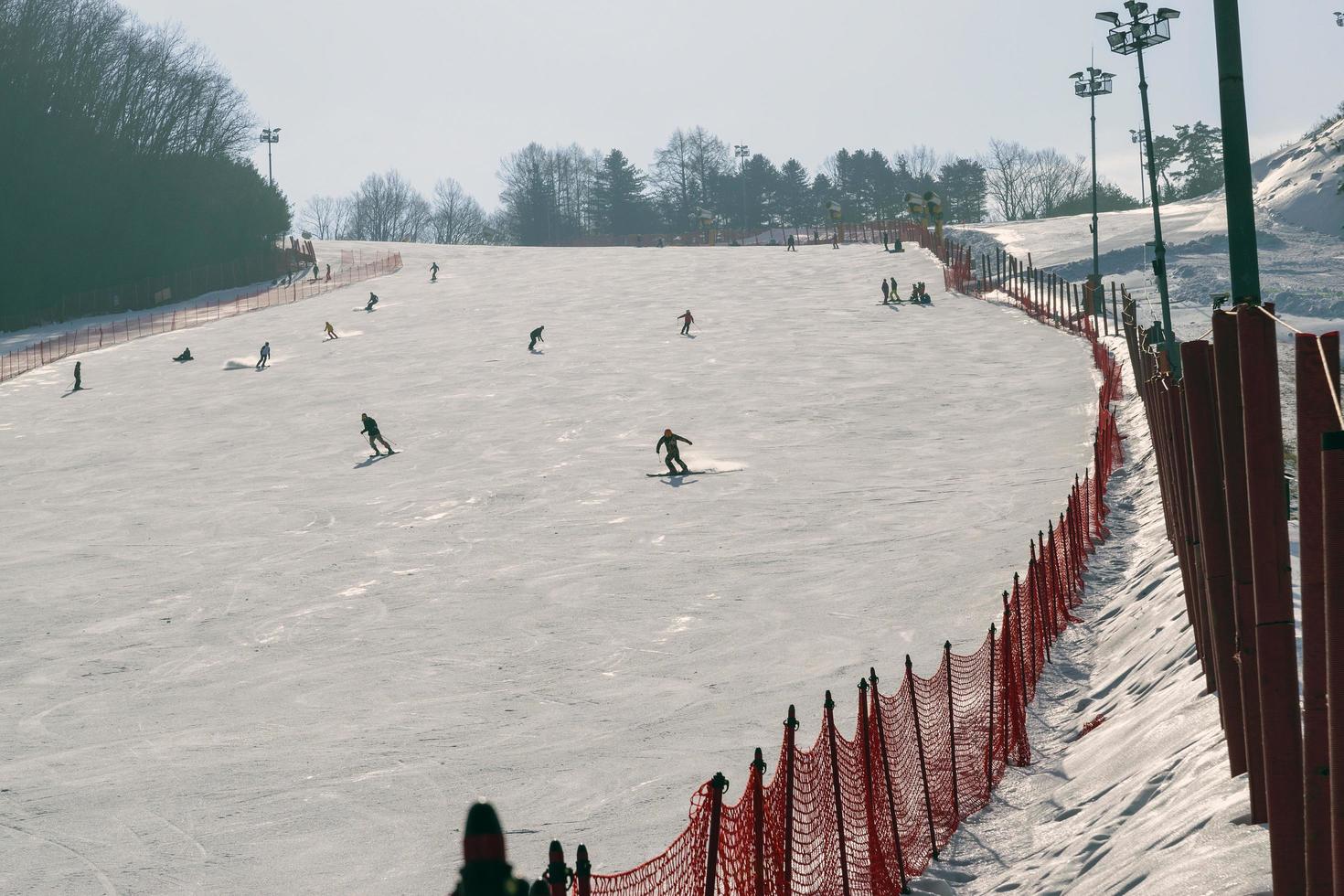 Gangwon-do, Korea 2016- Daemyung Vivaldi Park ski resort photo