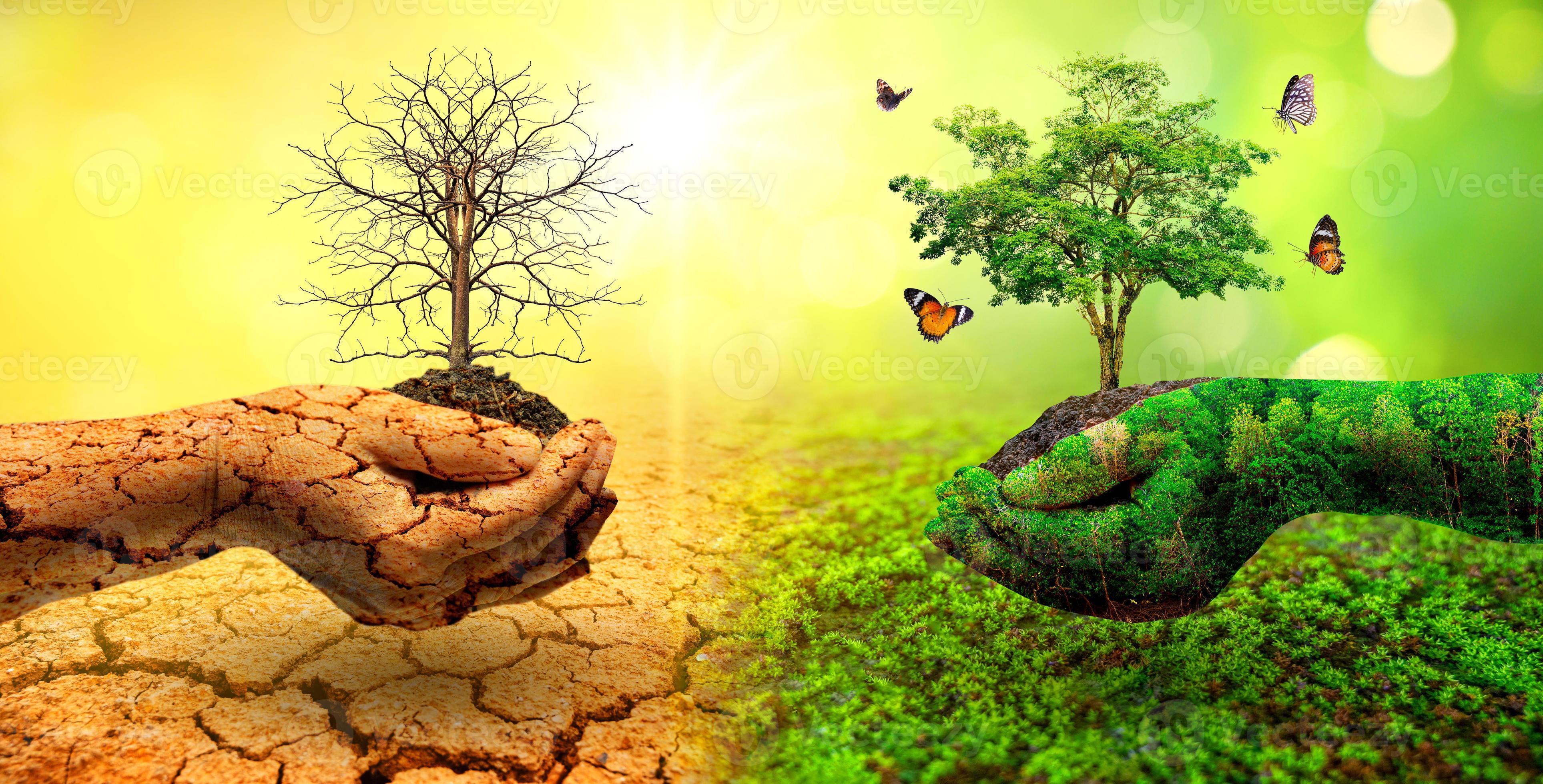 concept-of-environmental-conservation-and-global-warming-2489666-stock