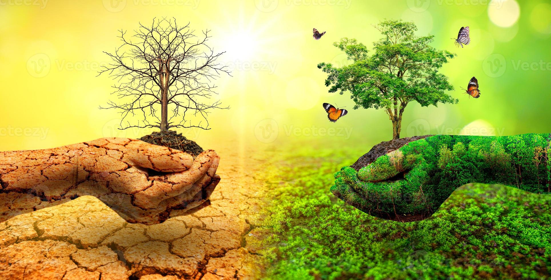 Concept of environmental conservation and global warming photo