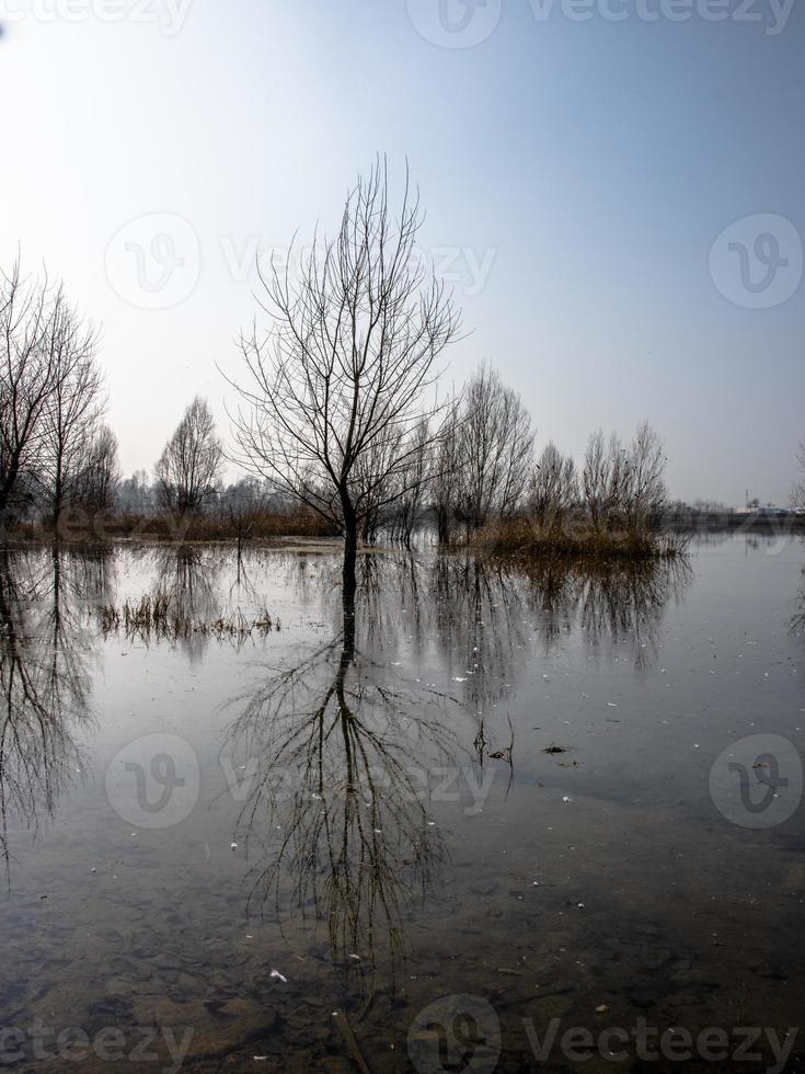 plácidos reflejos tristes uno foto