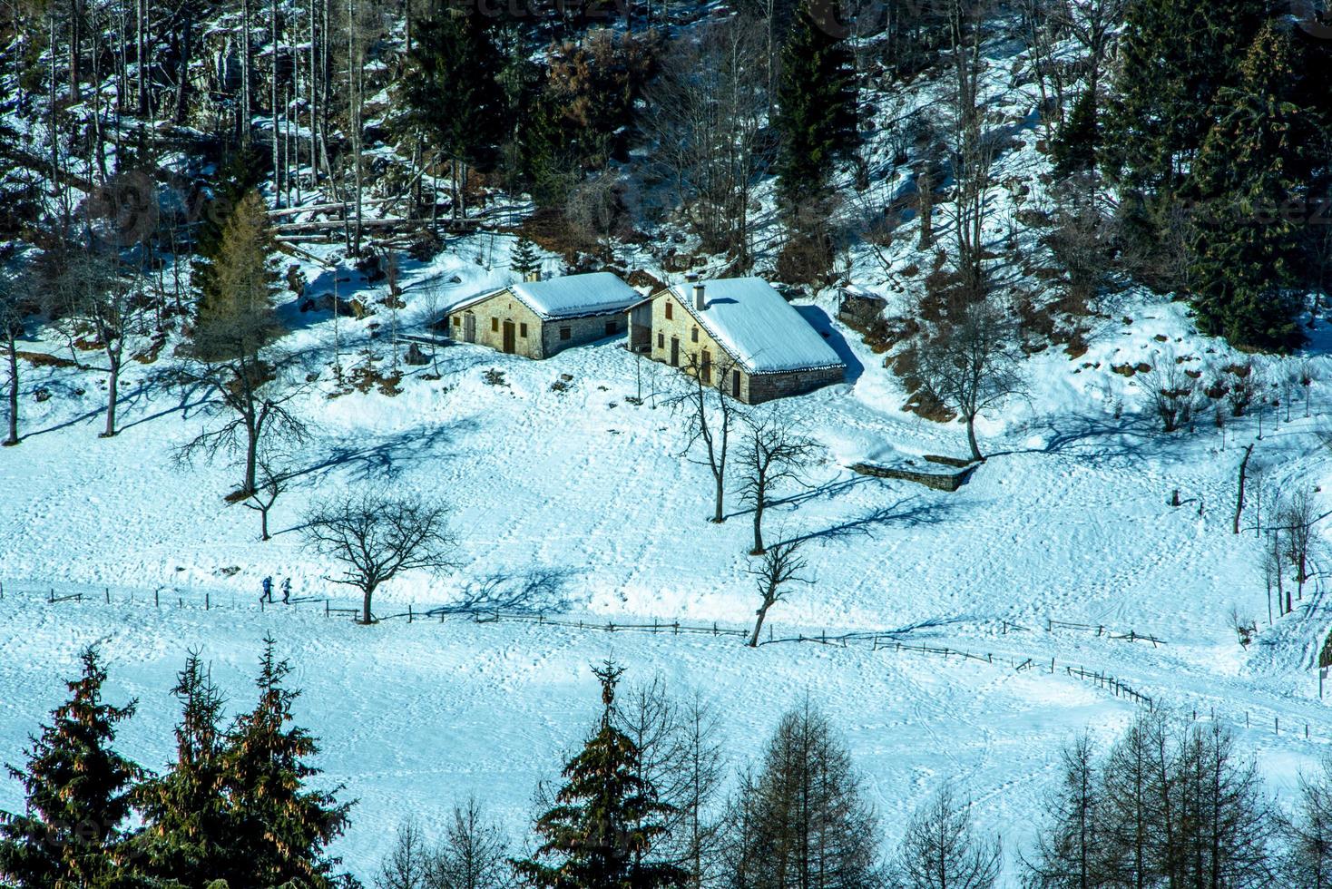 refugio alpino en el bosque foto