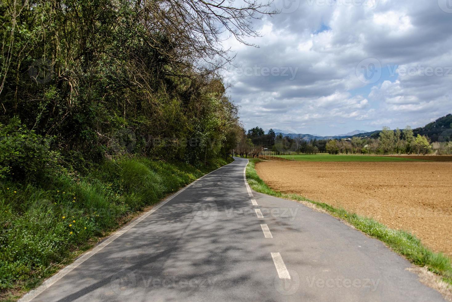 202144 Montemezzo road between the fields photo