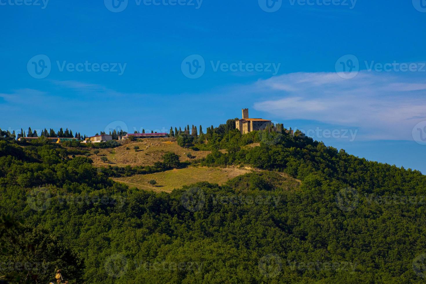 Castle on a hill photo