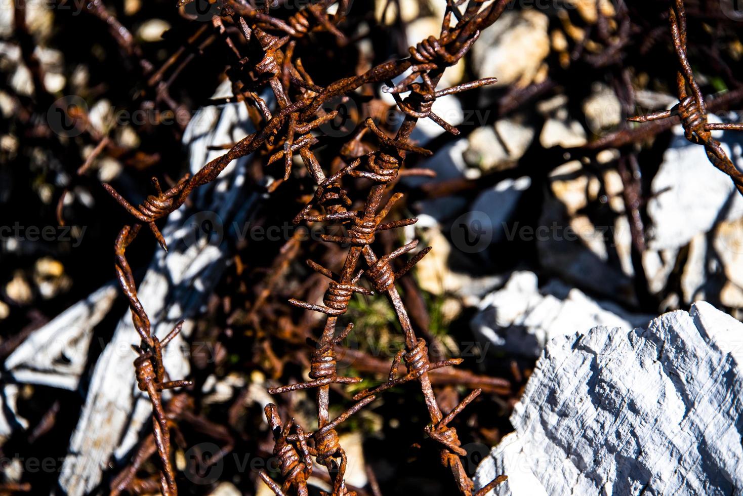 Barbed wire with wood photo