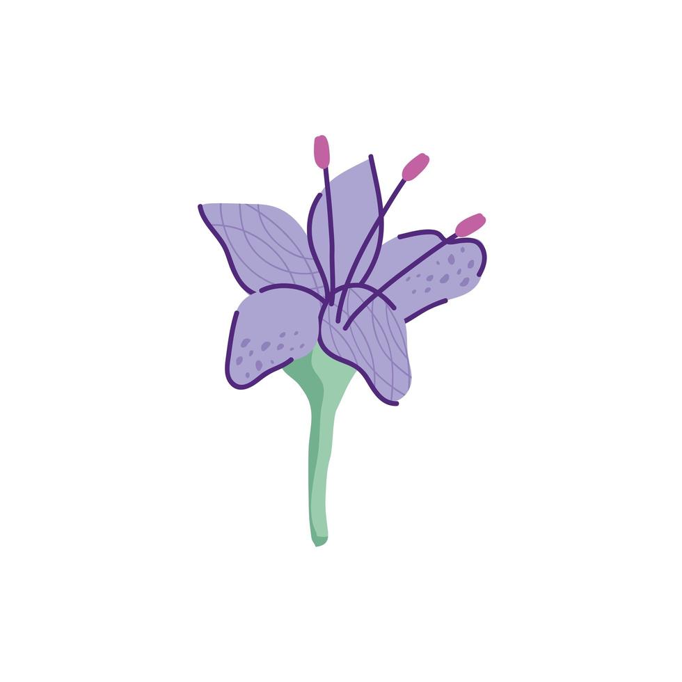 cute geranio flower nature isolated icon vector