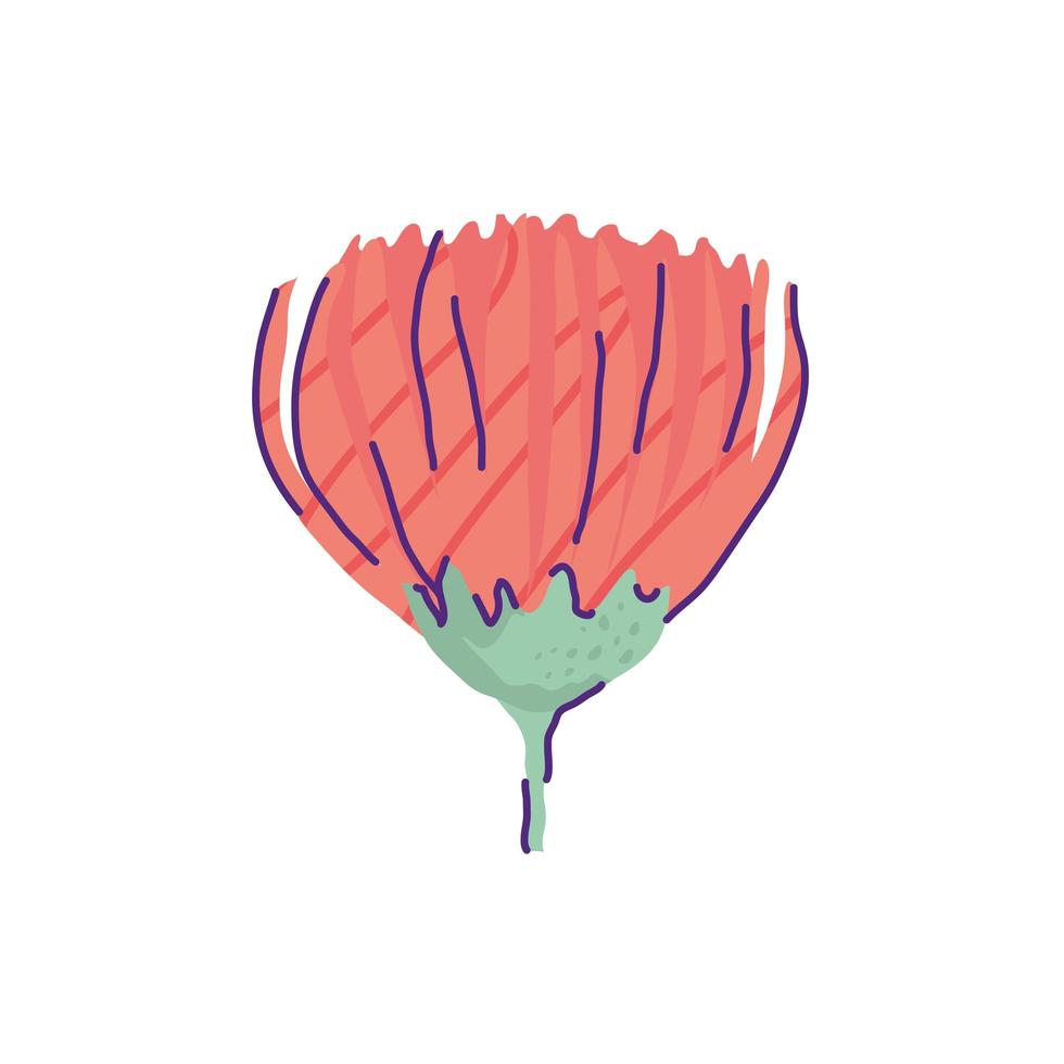 cute chrysanthemum flower nature isolated icon vector