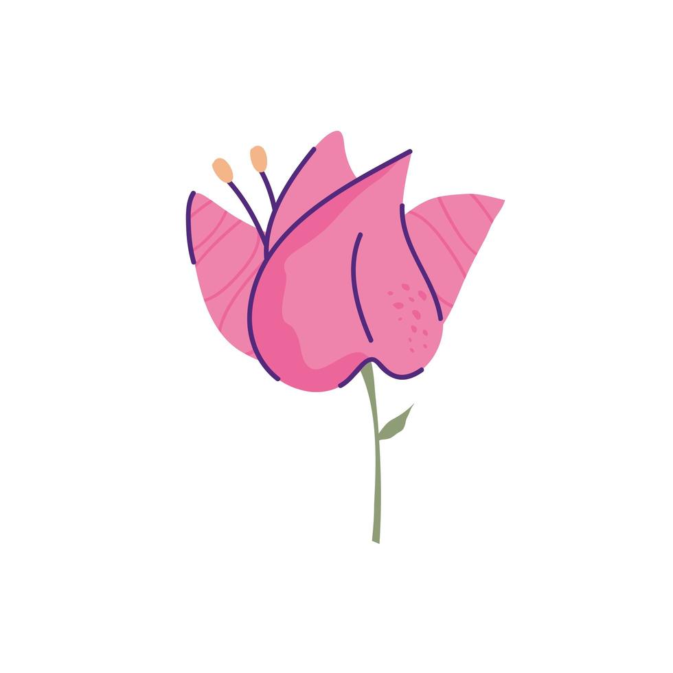 cute flower nature isolated icon vector