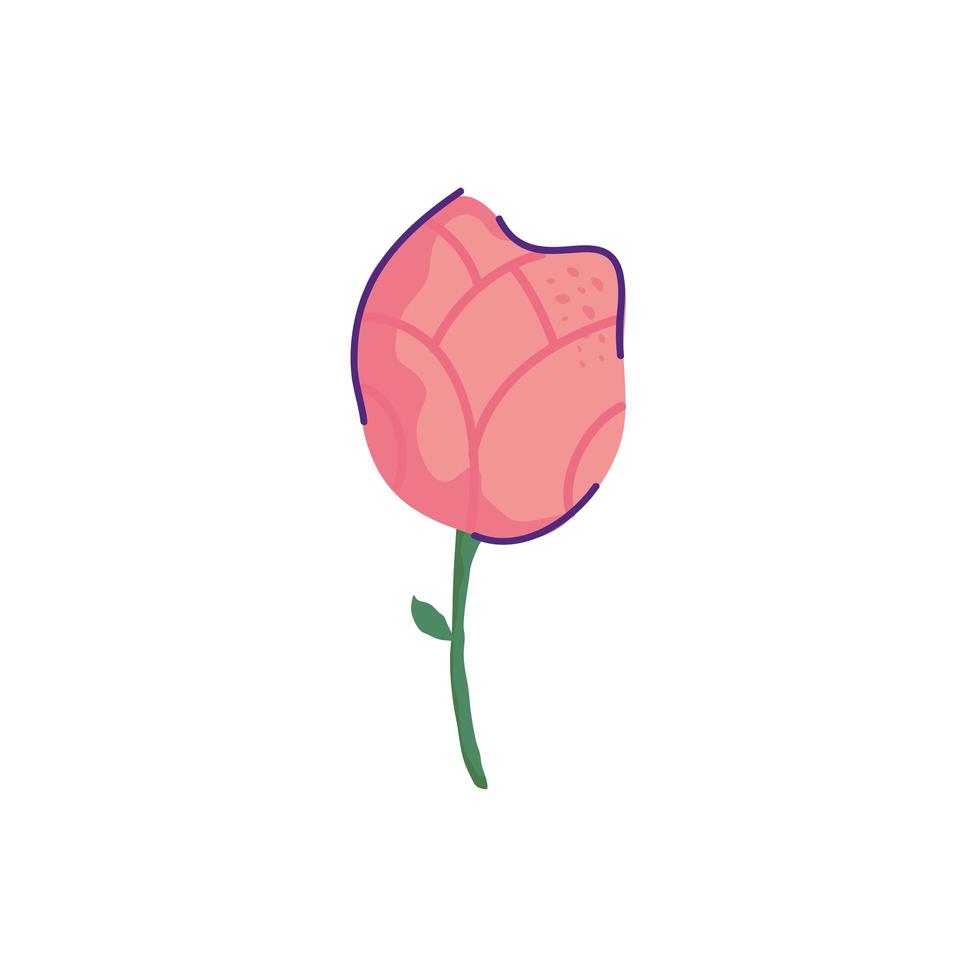 lindo, flor rosa, naturaleza, aislado, icono vector