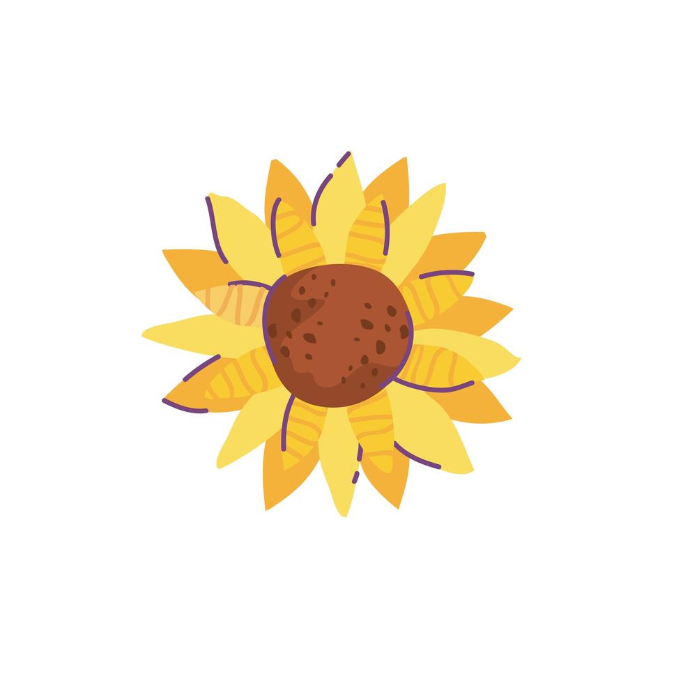 lindo, girasol, naturaleza, aislado, icono vector