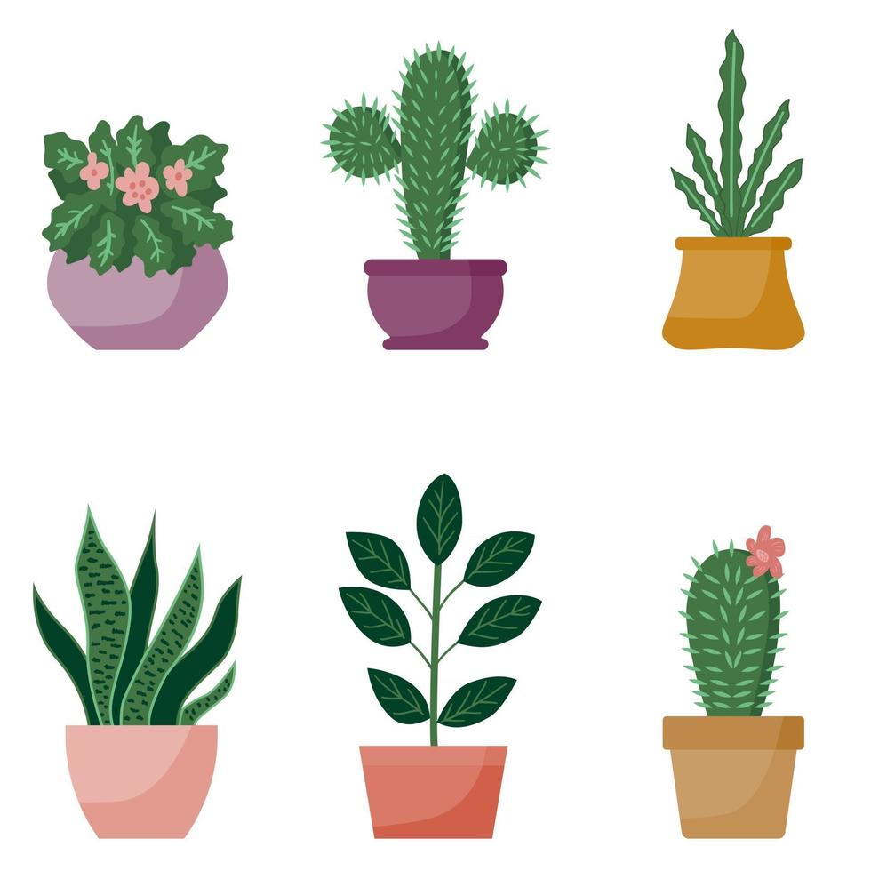 Potted plants collection, cartoon design. Succulents and home plants. Set of house indoor plant vector in flat style.