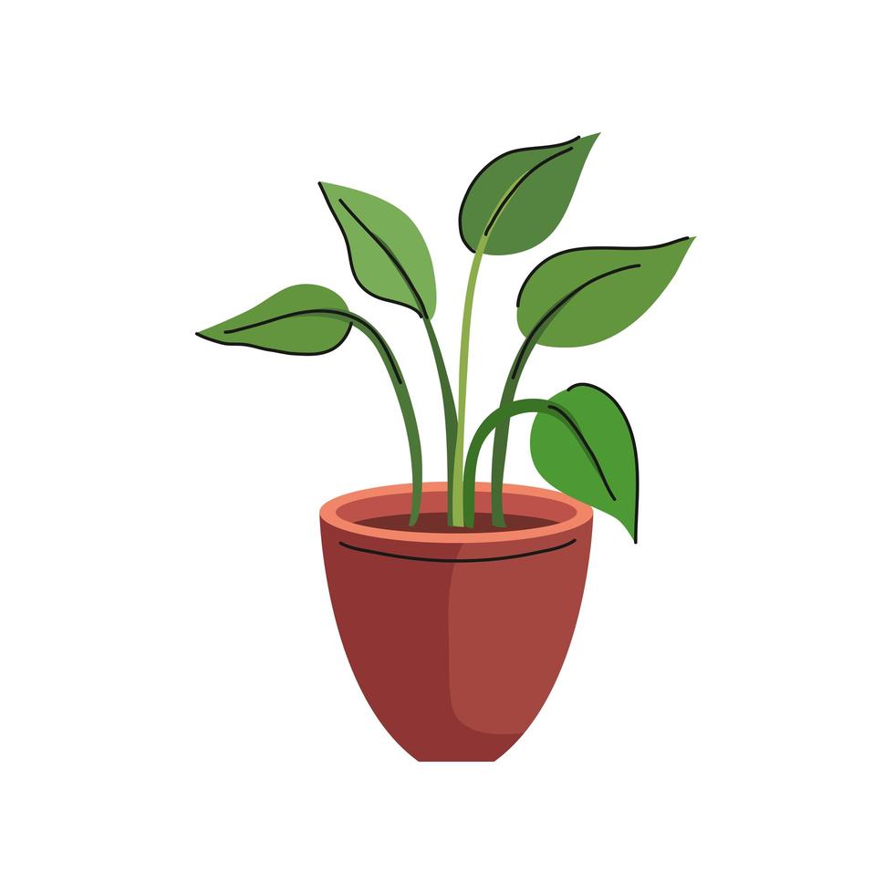 house plant in ceramic pot in orange color icon vector