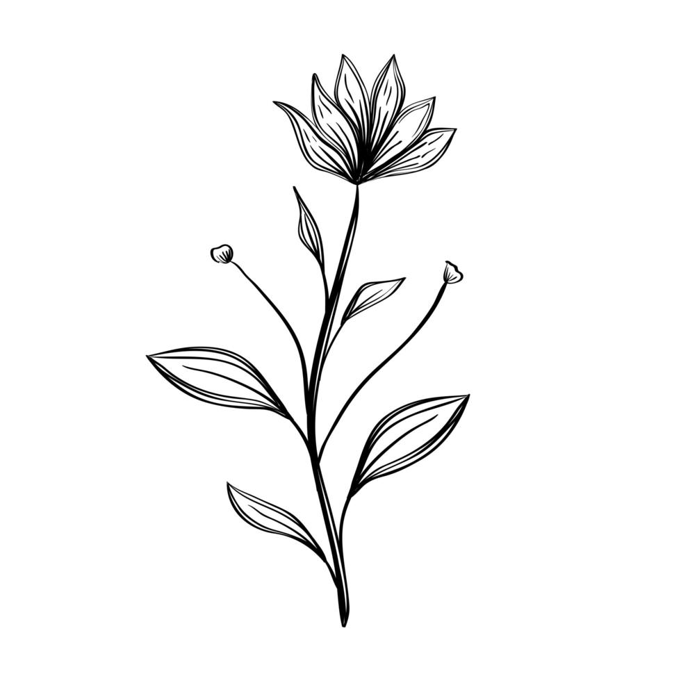 flower and leaves drawing icon vector