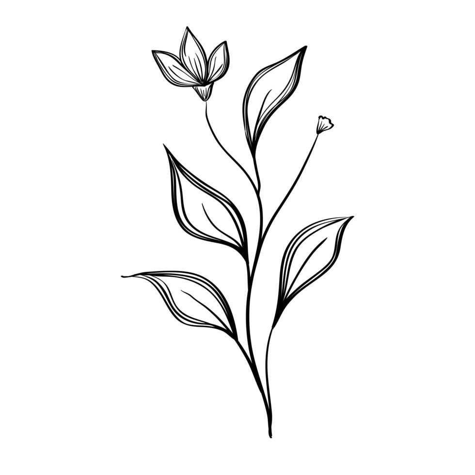 plant drawing isolated icon vector