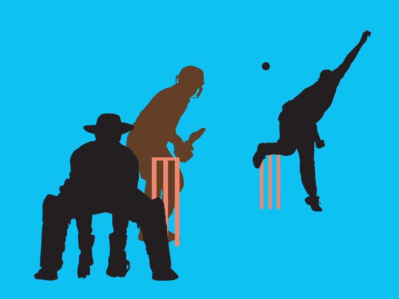 Cricket Action Shots on illustration graphic vector