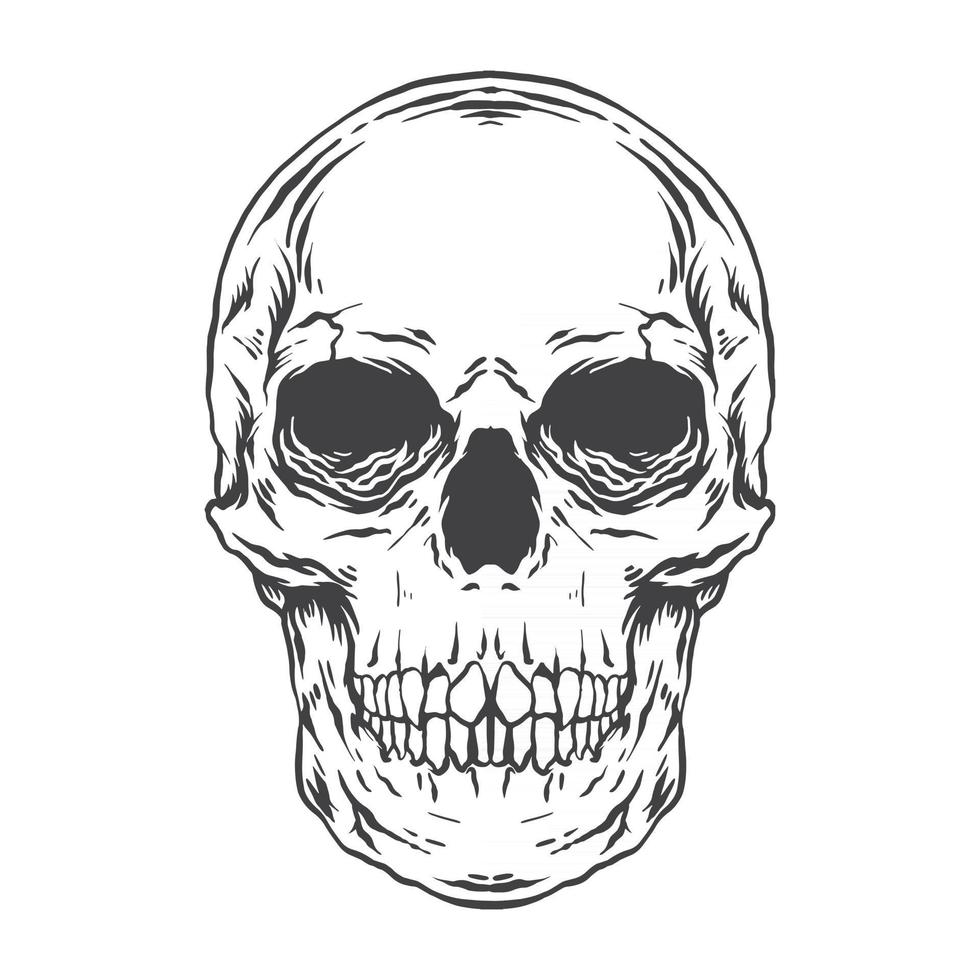 Human skull handrawn illustration monochrome vector