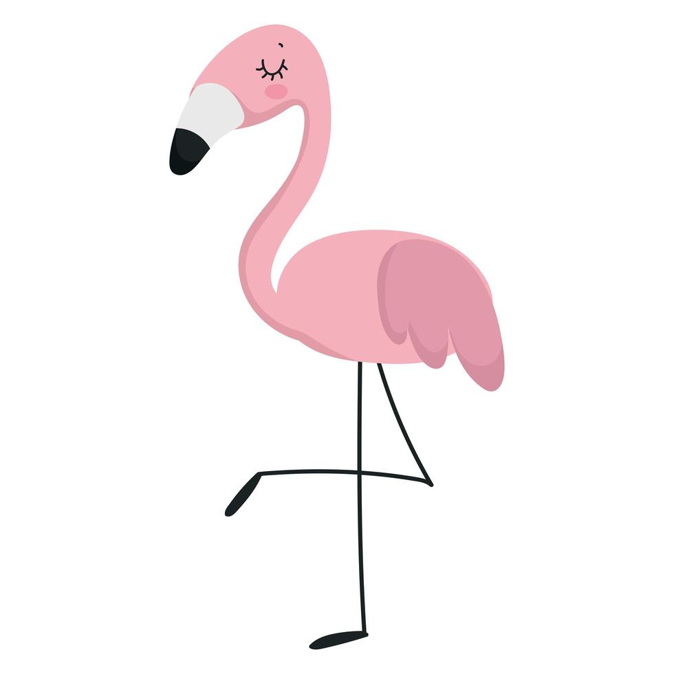 flamingo animal cartoon vector