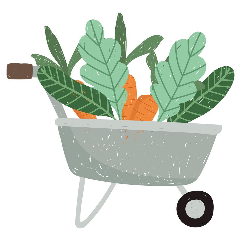 gardening wheelbarrow with carrots and leaves vector