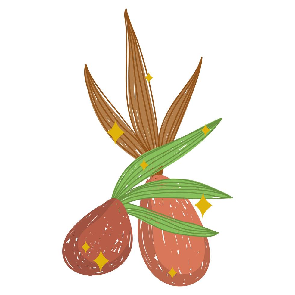 sprout leaves nature vector