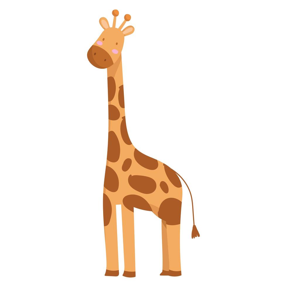 giraffe animal cartoon vector