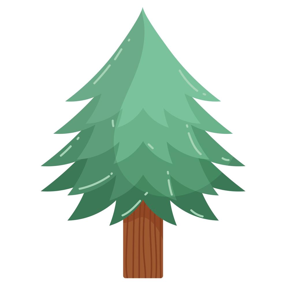 pine tree foliage vector