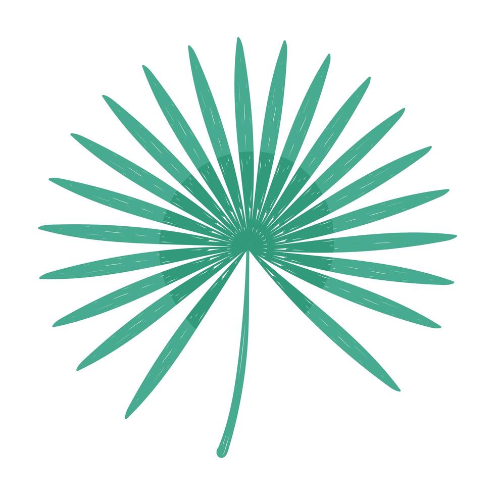 branch leaves nature vector
