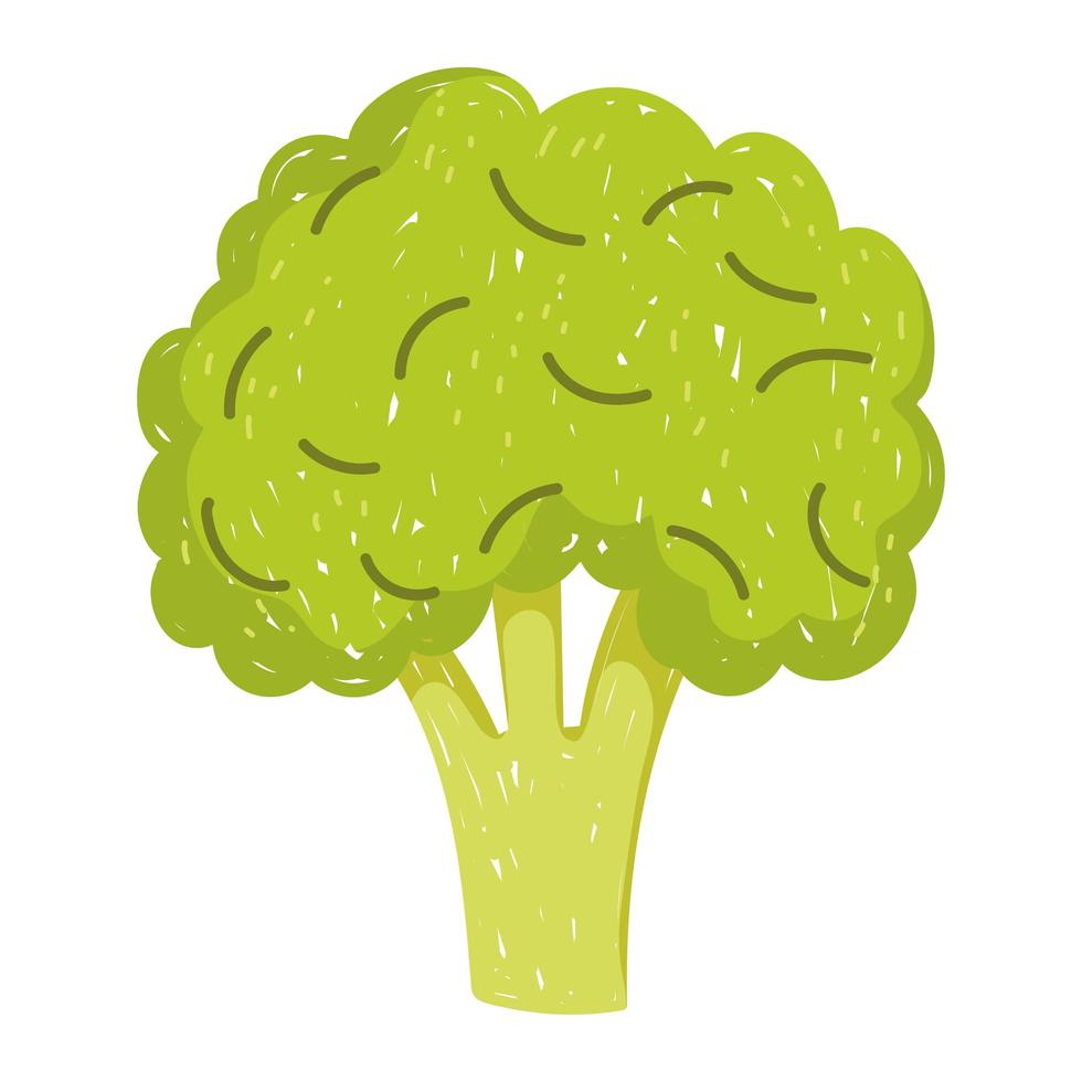 healthy food broccoli vegetable icon isolated style vector