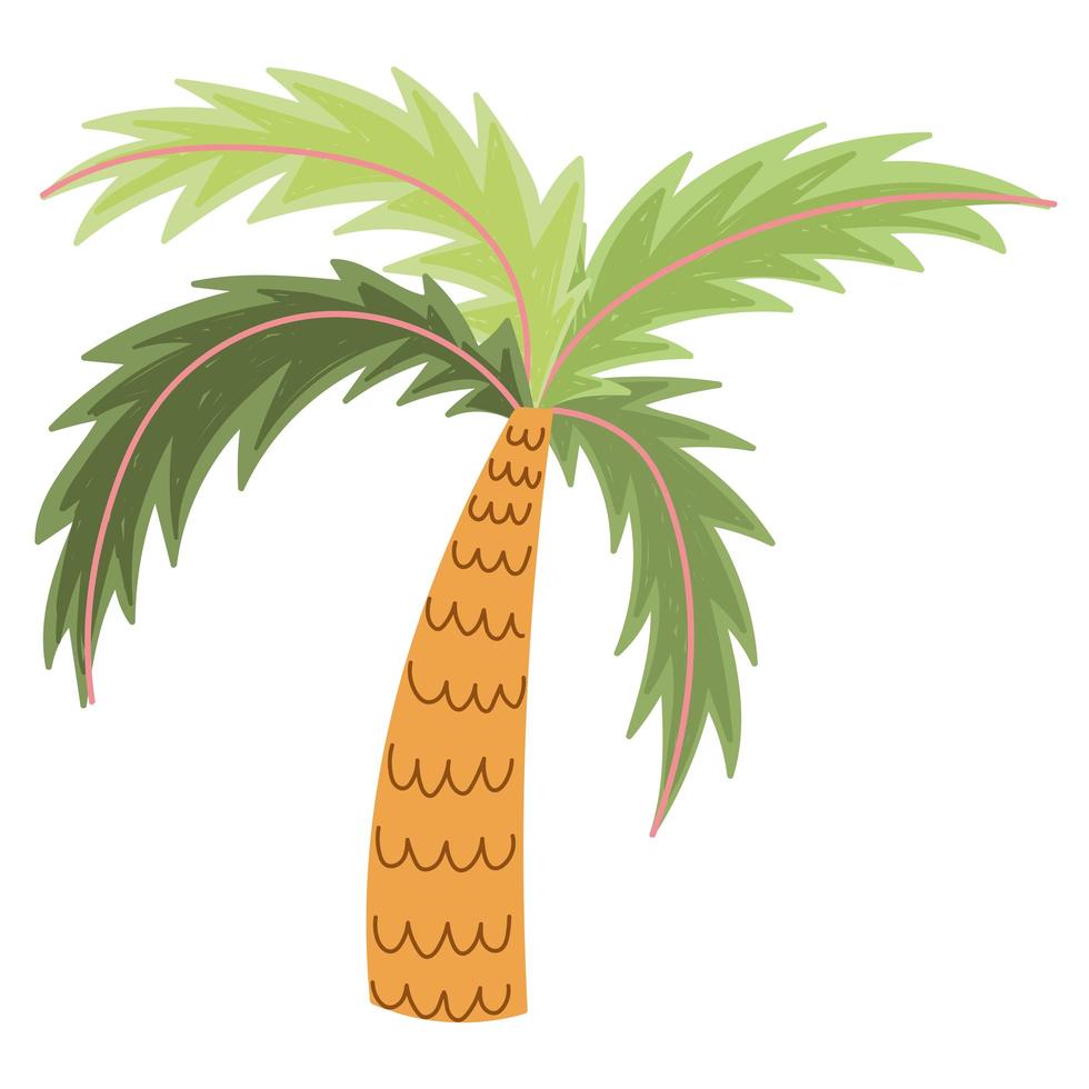 tropical palm tree nature exotic cartoon isolated vector