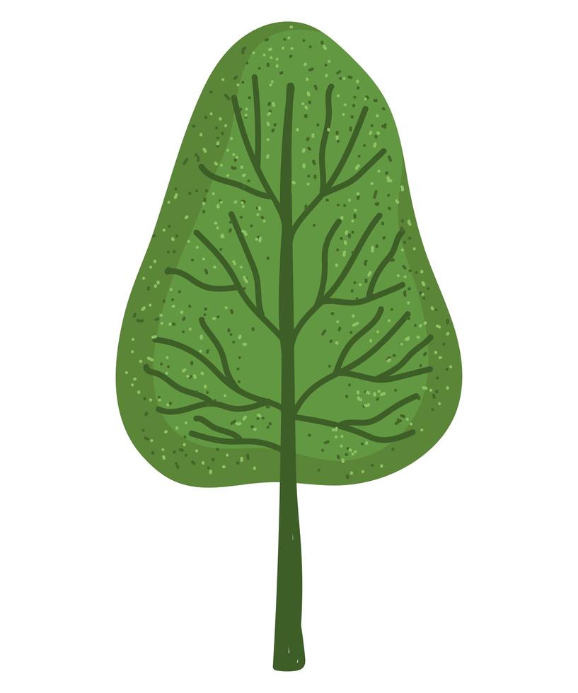 árbol verde naturaleza planta estilo aislado vector